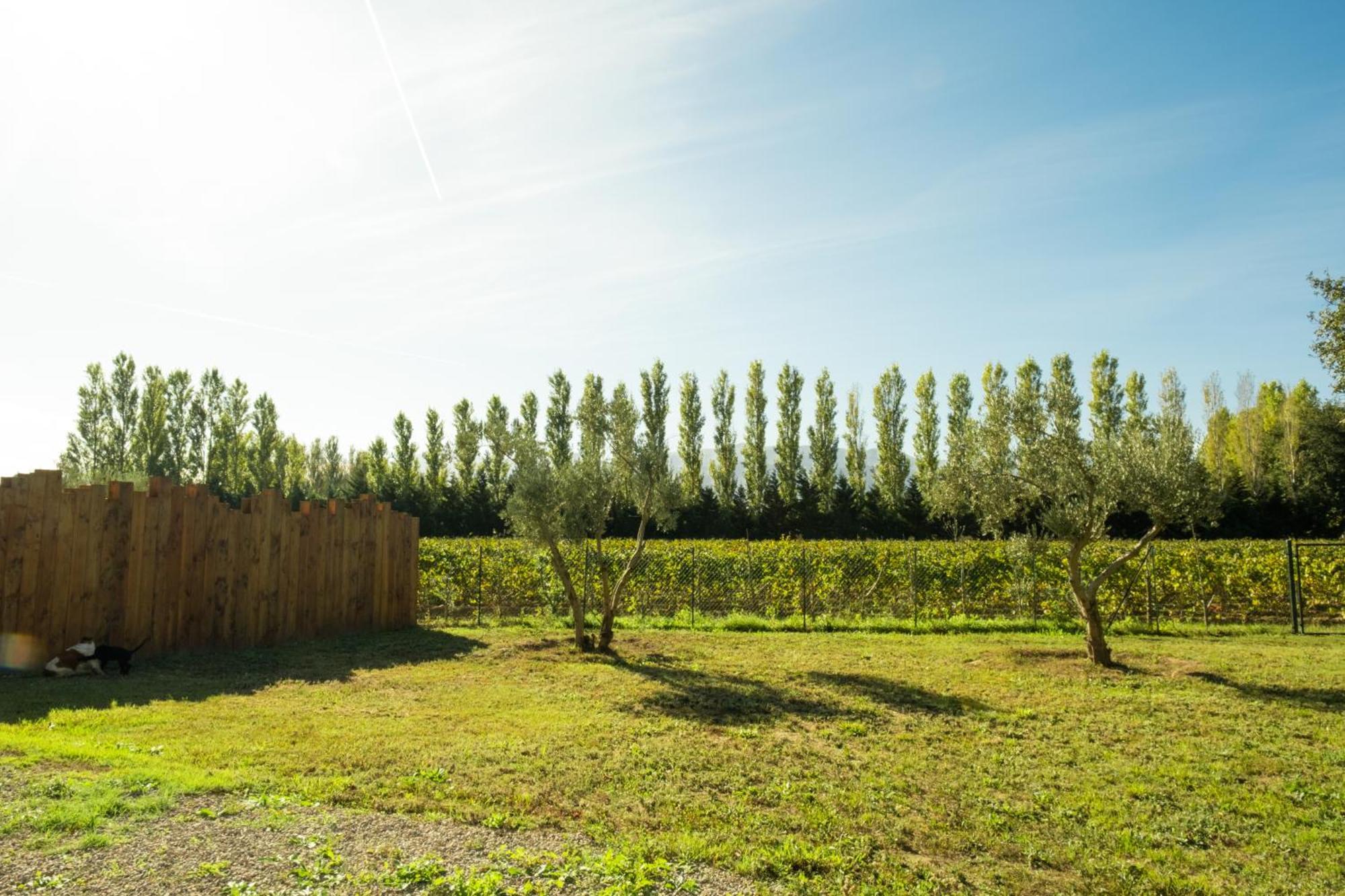 Domaine Saint Thomas Villa Argeles-sur-Mer Exterior photo