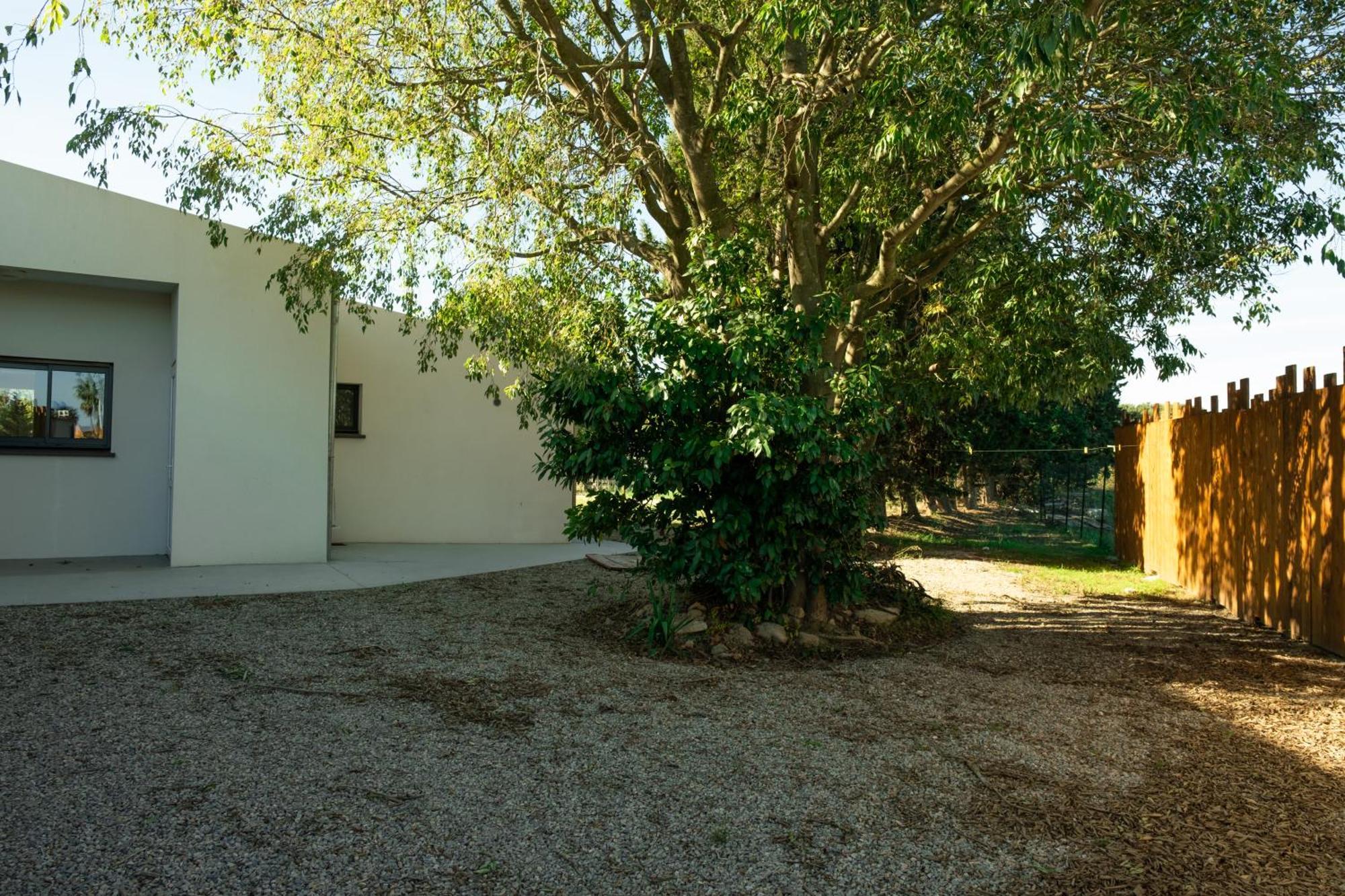Domaine Saint Thomas Villa Argeles-sur-Mer Exterior photo